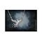 HARRY POTTER - The Phoenix Pendant - Solid Sterling Silver