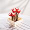 FOREVER FLOWERS - Bricks Succulent - Display 12pcs
