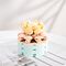 FOREVER FLOWERS - Bricks Succulent - Display 12pcs