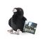 HARRY POTTER - Ravenclaw - Mascot Plush 14cm