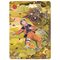 Kayou - Naruto Smriti Heaven Scroll Cards (KAYNRTSHS001B) / Toys