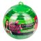 Nichole Jacklyne Water Slime Watermelon Display (6 Pieces)