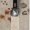 Taurus SPCL602 carpet, textile and upholstery vacuum cleaner