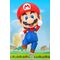 Super Mario Nendoroid Action Figure Mario 10cm