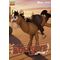 TOY STORY - Bullseye - Dynamic Action Heroes 21.9cm