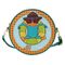 Phineas & Ferb Perry the Platypus Pool Crossbody Bag
