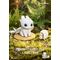 HOW TO TRAIN YOUR DRAGON - 6 Figure set 8.9cm