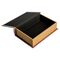 Beetlejuice Replica Box Handbook for the Recently Deceased