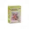 iTotal - Mini World: Blooming Time (XL3507) / Toys