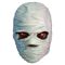 Goosebumps Vinyl Mask Mummy