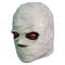 Goosebumps Vinyl Mask Mummy