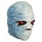 Goosebumps Vinyl Mask Mummy