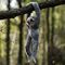 Animigos - Hanging Sloth (38472) / Toys