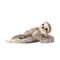 Animigos - Hanging Sloth (38472) / Toys