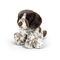Animigos - World of Nature Pointer Puppy (38603) / Toys