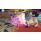Death end reQuest / PlayStation 4