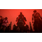 Echoes of Aincrad / Xbox Series X