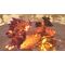 Granblue Fantasy: Relink - Endless Ragnarok (Day One Edition ) / PlayStation 5