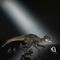 Jurassic World Hammond Collection Action Figure Scorpios Rex 43 cm