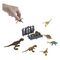Jurassic Park Minis Advent Calendar Island Visitor