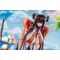 Daiblos Core PVC Figure 1/6 Maree Rouge Rakubai no Utage Wet Ver. 25 cm