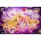 Original Character BeautyWorks PVC Figure 1/7 Star Guardian Soul of the planet Ling Xin 26 cm