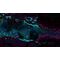 Bahamut and the Waqwaq Tree (Import) / Nintendo Switch