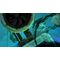 Bahamut and the Waqwaq Tree (Import) / PlayStation 5