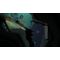 Bahamut and the Waqwaq Tree (Import) / PlayStation 5