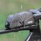 Rockbros AS-134 ROAD TO SKY waterproof bike frame bag 0.6 l - black