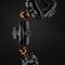 Rockbros 2-3D Adjustable Bottle Holder for Bikes and Motorcycles - Black