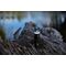 AECOOLY CamperPack – Modular Camping Kit USB-C 25.9Wh IPX7
