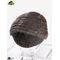 Jurassic Park 1/1 Replica Triceratops Toenail 16 cm