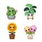 FLORA - POP Plants - 4PK