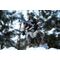 SKYRIM - Dragonborn standard - Action Figure '22x9x35cm'