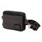 POKEMON - Legendary Beasts - Sling crossbody bag LoungeFly