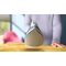Philips 2000 series DST2010/20 iron Steam iron Non-stick soleplate 2000 W Grey
