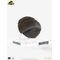 Jurassic Park 1/1 Replica Triceratops Toenail 16 cm