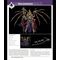 Mythic Legions: The First 10 Year Book Hardcover