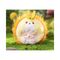 Yumo: Forest Friends Series Blind Box figure 13 cm Display (6)