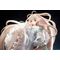 Chobits PVC Statue 1/6 Chi 23 cm