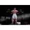Street Fighter Premier Series Statue 1/4 Ryu Battle Edition: Powerlifting 53 cm