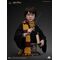 Harry Potter Bust 1/1 Harry 76 cm