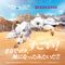 Zoids Plastic Model Kit 1/100 RMZ-012 Hell Cat Tirol 14 cm