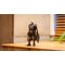 My Hero Academia Collekazaro Action Figure CK-M07 Armored All Might 10 cm