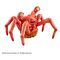 The Thing Sofubi Fantastic PVC Statue Spider Head 12 cm
