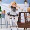 Oshi no Ko PVC Figure 1/6 Ruby (Cat Maid Ver.) 27 cm