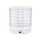 Mushroom, vegetable and fruit dryer 500W BLOW FD-01