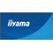 iiyama ProLite X2491H-B1 computer monitor 60.5 cm (23.8") 1920 x 1080 pixels Full HD LCD Black