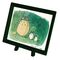 MY NEIGHBOR TOTORO - Totoro Forest - Puzzle 150P & Easel